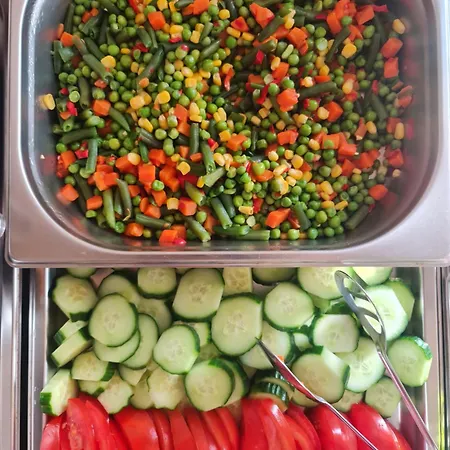 彼得罗斯酒店 酒店 蒂锡利维