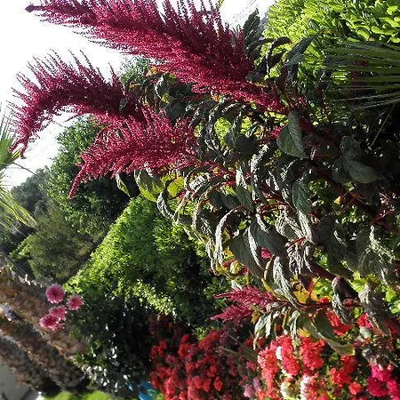 彼得罗斯酒店 蒂锡利维