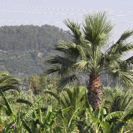 Ξενοδοχείο Petros 3*