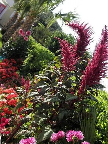 Petros Tsilivi (Zakynthos)